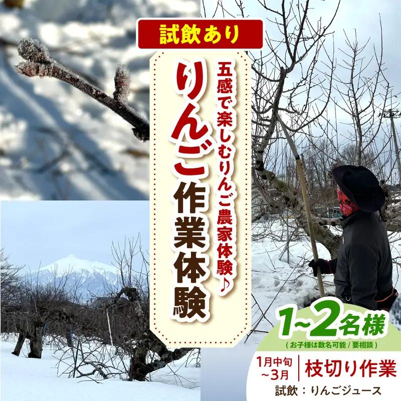 体験型 りんご作業体験（枝切り／1月中旬～3月）大人2人まで青森県五所川原