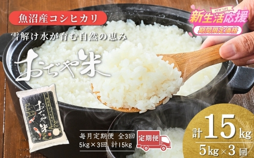 【3か月定期便 コシヒカリ】 令和7年産 新潟県 魚沼産コシヒカリ「おぢや米」合計15kg(5kg×1袋×毎月お届け全3回) 徹底した品質管理 新潟産コシヒカリ JA魚沼 特A評価 魚沼産 | おぢや米 新潟県産コシヒカリ お米 米 こしひかり 白米 精米 ブランド米 特A評価 注文後に精米する新鮮発送！【0002-JA04DB00-04】