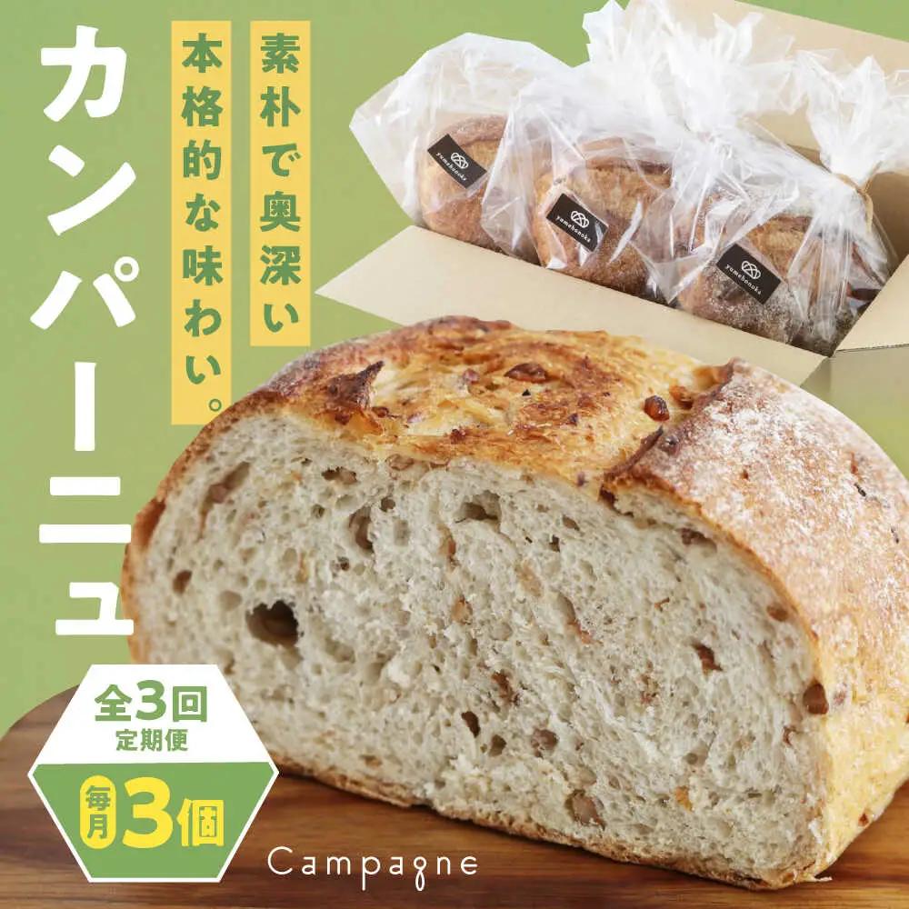 パン【全3回定期便】【冷凍】 カンパーニュ3種セット (プレーン・いちじく・五穀)  パン[AGAY051]