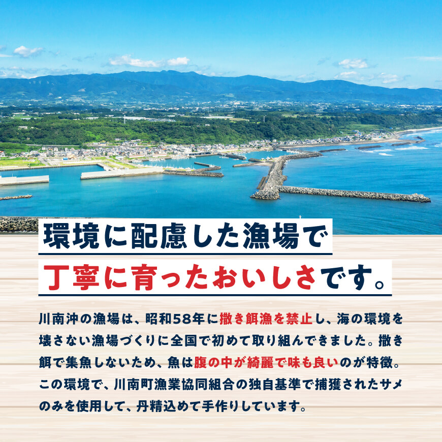 川南獲れフカ（鱶）使用！フカフカフライ　10パック 【 サメ フライ 時短 川南町 通浜直売所 九州 宮崎県 川南町 送料無料 】