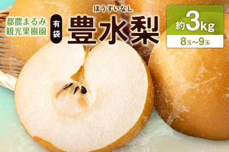 有袋・豊水梨（ほうすいなし）約3kg 8玉～9玉 天然ミネラル栽培 ナシ フルーツ 果物 くだもの 旬 宮崎県