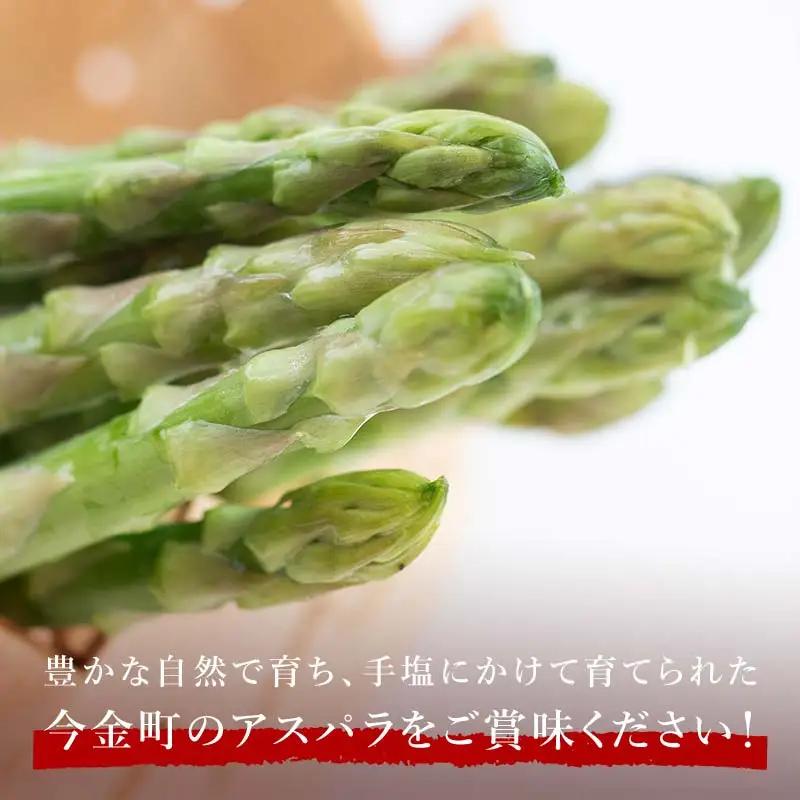 【先行予約】朝採れ新鮮アスパラ 750g （Mサイズ） (2027年3月下旬~6月中旬または2027年7月上旬~9月上旬発送) 野菜 秀品 北海道産 バーベキュー BBQ キャンプ 旬野菜 アスパラガ