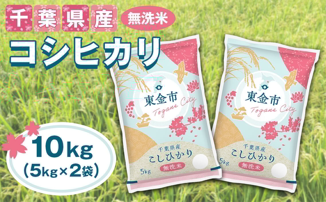 
            No.232 【令和6年産】千葉県産コシヒカリ10kg無洗米（5kg×2袋） ／ お米 米 香り 粘り 甘味 こしひかり 千葉県
          