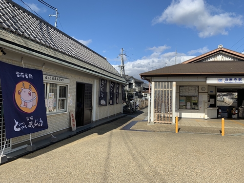 （冷凍）　當麻　どっこいまんじゅう　５種　プレーン　クリームチーズ　あずき　渋皮くり　ブリュレチーズ　16個セット／朗紀本舗　ふるさと納税　スイーツ　和菓子　さつまいも　五郎島　紅はるか　鳴門　金時_