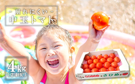 
熟感トマトさひめ 4kg（24玉）【野菜 やさい トマト とまと 熟感トマト 桃太郎ヨーク 4kg 24玉 パスタ 煮込み 炒め物 日持ち 期間限定 季節限定 9月～3月発送】
