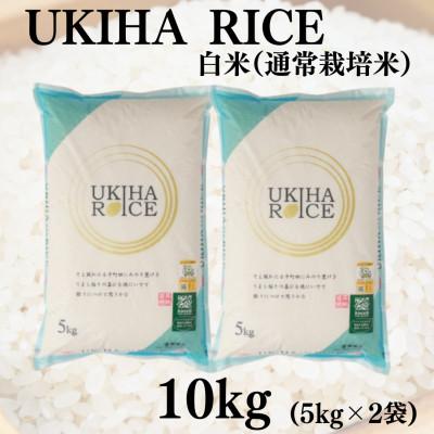 ふるさと納税 うきは市 UKIHA RICE 白米10kg(5kg×2袋)(通常栽培米)063-0059