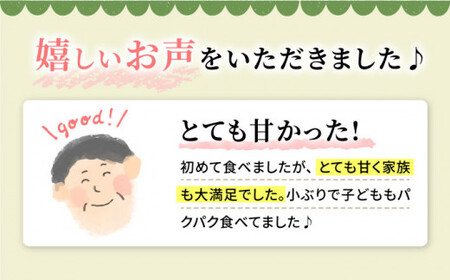 【数量限定】【訳あり】 ロザリオビアンコ約2kg（4房～6房）＜岡本　満博＞ [CEN002]