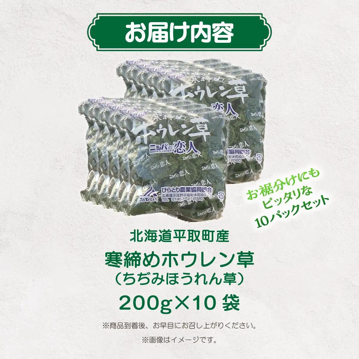 【先行予約/2026年12月上旬以降発送】【北海道平取町産】寒締めホウレン草（ちぢみほうれん草）200g×10袋 BRTO003