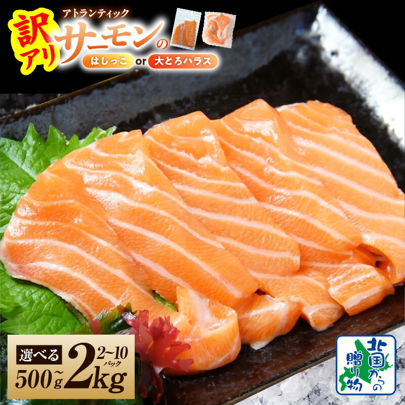 【ふるさと納税】【訳あり】アトランティックサーモン 選べる 種類 内容量 楽天限定 はしっこ 約500g / 約1kg 大とろハラス 600g / 1kg / 1.6kg / 2kg 脂乗り 抜群 深いコク 小分け 刺身 塩焼き 照り焼き 味噌漬け焼き 鮭 魚介 海鮮 お取り寄せ 大阪府 泉佐野市 送料無料