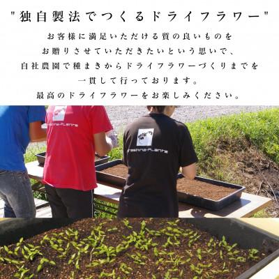 ふるさと納税 茅野市 信州 八ヶ岳の麓から贈るドライフラワースワッグ M(ピンク&ブラウン) |  | 03