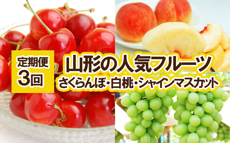 
            ★定期便3回★山形の人気フルーツ(さくらんぼ・白桃・シャインマスカット) 【令和7年産先行予約】FU23-310 くだもの 果物 フルーツ 山形 山形県 山形市 2025年産
          