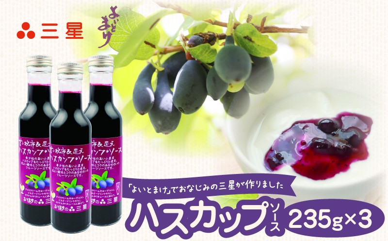 
                  カナダ産 市民還元ハスカップソース 235g（3瓶）　T044-018
                