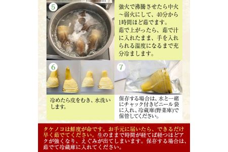 i366 ≪数量限定！先行予約受付中！2026年4月上旬～4月中旬の間に発送予定≫鹿児島県出水市産！タケノコ＜皮付き4kg＞ たけのこ 筍 タケノコ 国産 皮付き 野菜 旬 新鮮 採りたて 煮物 味噌