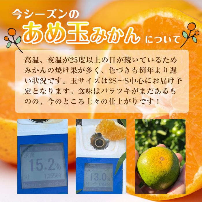 i1059-B ＜先行予約受付中！2025年11月中旬～2026年1月下旬の間に発送予定＞【特別栽培・最高金賞】温州みかん日本一！濃甘あめ玉みかん～プレミアム 極み～(約2kg・Mサイズ) みかん 蜜