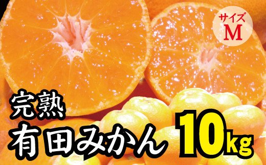 
【2022年秋以降発送予約分】＼光センサー選別／ 【農家直送】先行予約 完熟有田みかんＭサイズ　約10kg 有機質肥料100%　※2022年11月中旬より順次発送予定（お届け日指定不可） みかん 柑橘類
