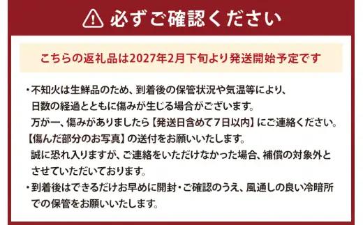 【 贈答用 】 熊本県産 不知火 約3kg （ 9 ～ 15玉前後 ） 贈答 果物 くだもの フルーツ 柑橘系 柑橘類 みかん ミカン 果肉 国産 果汁 贈り物 贈答品 【 2027年2月下旬発送開始