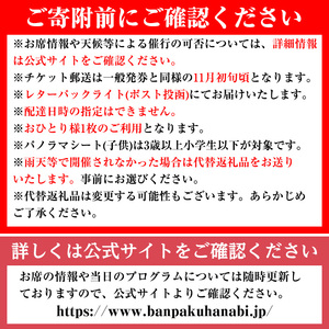 ＜パノラマシート(大人)：代替品B＞万博夜空がアートになる日2024 鑑賞チケット(1枚・1名様分) 体験チケット 利用券 花火 花火大会 音楽 万博 万博公園 万博記念公園 クーポン【m62-03-