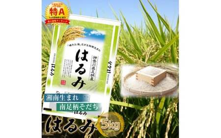 【令和7年産】湘南生まれ 南足柄育ちのお米「はるみ」(精米)5kg×1袋【 ごはん おいしい 神奈川県 南足柄市 】