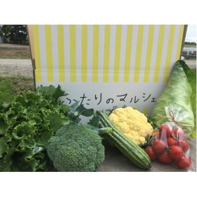ふるさと納税 江別市 北海道江別産　季節の彩り野菜セット　S|Ambitious Farm |  | 01