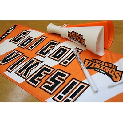 応援の必需品　バイクス応援セット(タオル・メガホン・ペンライト)【C058】【1108639】