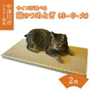 【ふるさと納税】猫 つめとぎ 2枚入 選べるサイズ ( 小 / 中 / 大 ) サイズ ダンボール 製 フレーム 付き 爪とぎ 猫ベッド ねこ グッズ 猫用品 ペット用品 日本製 国産 おもちゃ 送料無料 岐阜県 中津川市