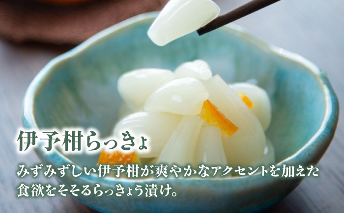 愛媛混ぜご飯の素とお漬物セット　愛媛県大洲市/(有)玉井民友商店 [AGBY006]炊き込みごはん おにぎり 土鍋ごはん 晩ごはん 炊き込みご飯 おむすび ごぼう 漬物 味噌汁 漬け物 発酵 大根 浅