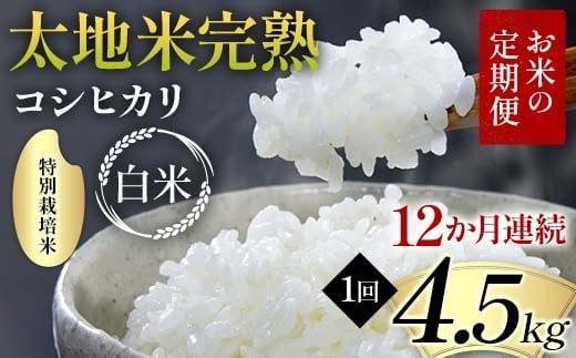 
                  【先行予約】お米の定期便 特別栽培米 太地米完熟 【こしひかり】 白米4.5kg×12か月連続 ブランド米 お米 精米 白米 人気 F7X-0703
                