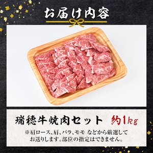 焼肉 セット 約1kg 瑞穂牛 牛肉 国産 【焼肉】【ho0903】