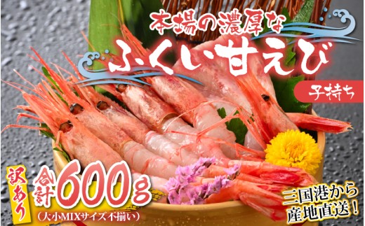 【訳あり】三国港から産地直送！「三国港甘えび」 合計約600g ～本場の濃厚な甘海老を是非ご賞味ください！～ 【甘エビ あまえび アマエビ わけあり ワケアリ 濃厚 甘い 刺身 生食可 生 冷凍 有頭 新鮮 魚介類 国産 県産】 [A-6233]