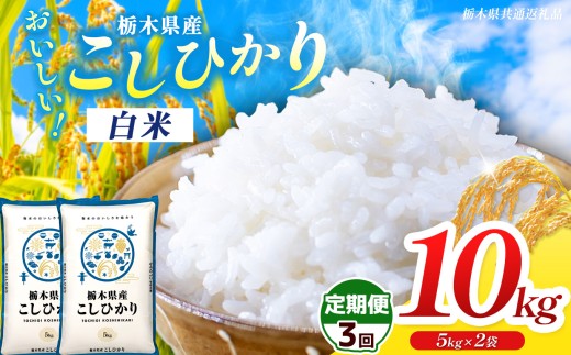 【ふるさと納税】新米 米 定期便 選べる 訳あり 令和8年度産 先行予約 食べ比べ 内容量 10kg コシヒカリ | 栃木県共通返礼品 お米 精米 白米 玄米 大粒 小粒 無洗米ご飯 飯 こめ コメ 那珂川町 送料無料
