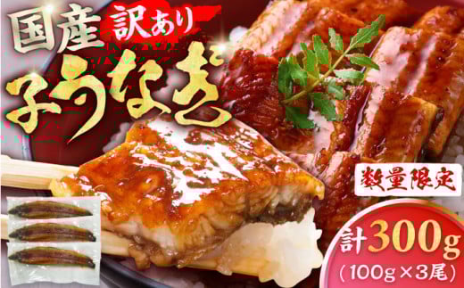 【訳あり】国産鰻（100g×3尾） 広川町 / イールファクトリー株式会社 [AFBS009]