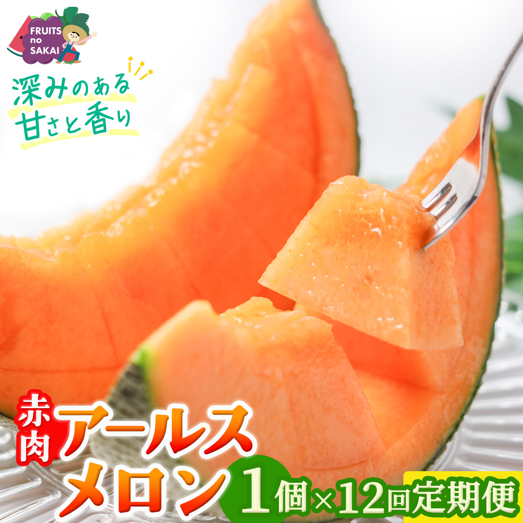 【定期便】 赤肉アールスメロン 1玉 × 12か月連続 赤肉 高糖度 甘い 美味しい フルーツ 誕生日 プレゼント ギフト 贈り物 父の日 母の日 1個 [FC38-NT]