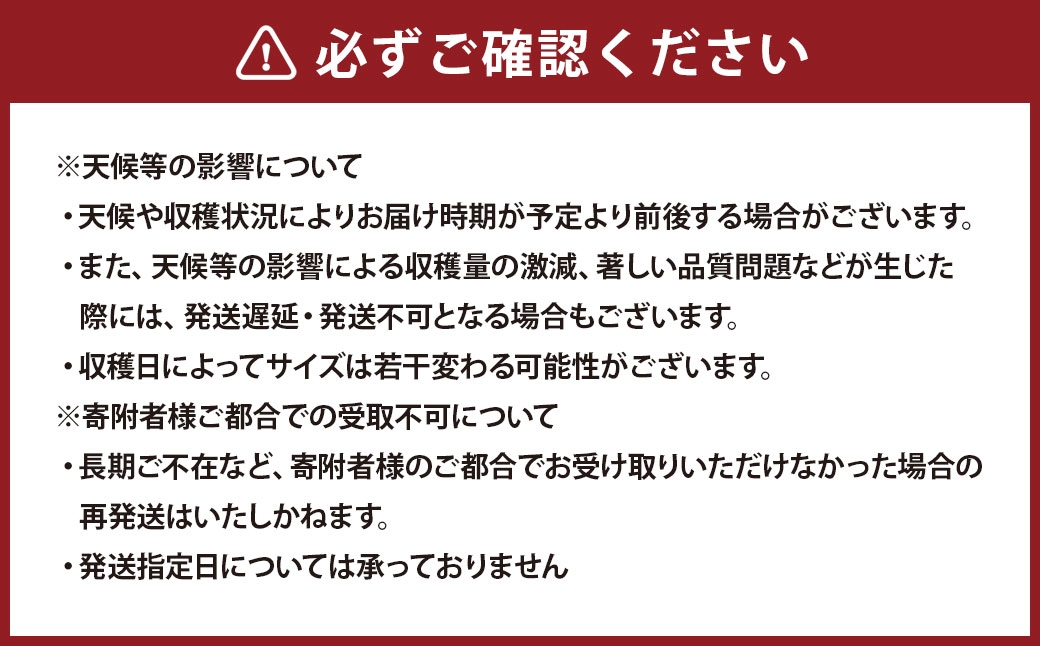 有機みかん約5kg