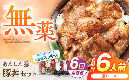 【6回定期便】豚丼セット計6人前 藤井ファーム[AWAF014]