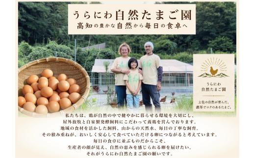 土佐ジロー10個×2P うらにわ自然たまご園