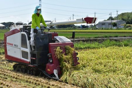 【6ヶ月定期便】利根町産【特別栽培米】コシヒカリ　精米10kg×6回