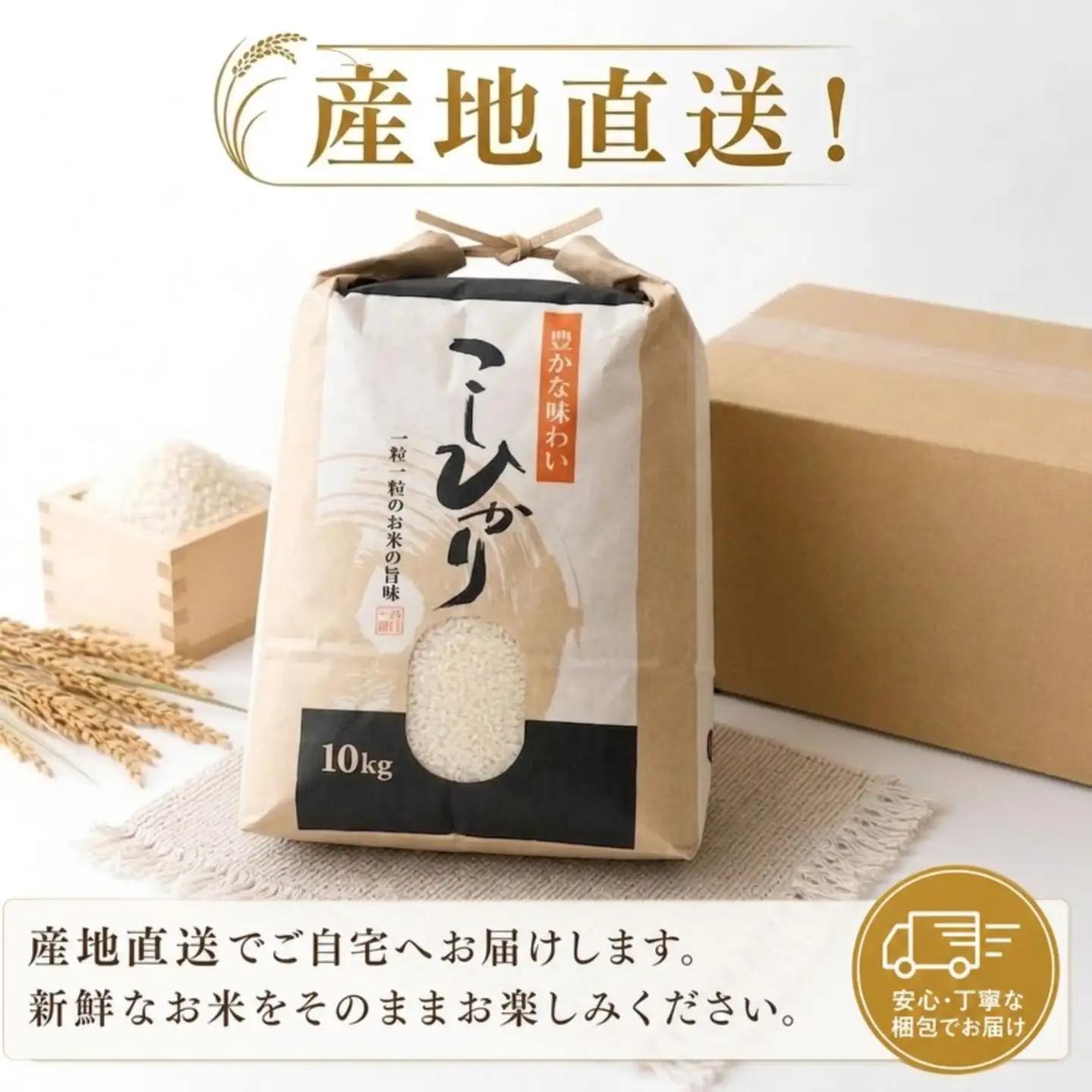 こしひかり 白米 10kg 2025年産［0941-6］