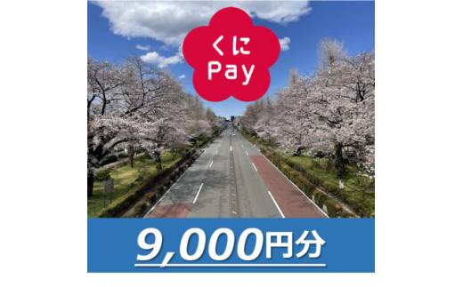 国立市デジタル地域通貨『くにPay』9,000ポイント【1587149】