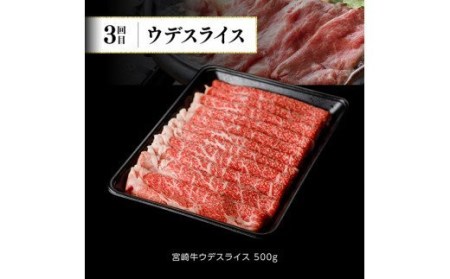 牛肉 【定期便】宮崎牛 ６ヶ月定期便A スライス ステーキ 牛肉