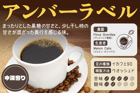 コーヒー豆 自家焙煎 ホンジュラス スペシャルティコーヒー 焙煎豆 200g 細挽き【アンバー】