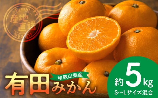 BL6500_【2025年先行予約】産地直送　和歌山県産 有田みかん 5kg