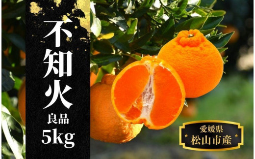 【不知火】良品 約 5kg　＜2026年2月末～4月頭頃発送＞愛媛 松山 みかん 先行予約 蜜柑 柑橘 果物 くだもの フルーツ お取り寄せ グルメ 期間限定 数量限定 人気 おすすめ 愛媛県 松山市