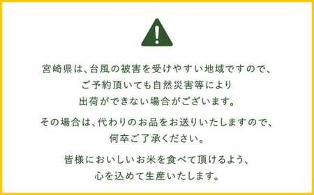 【6か月定期便】 無洗米 ＜チャック付＞ 米 国産 令和7年産 夏の笑み 宮崎県産（5kg×6回）