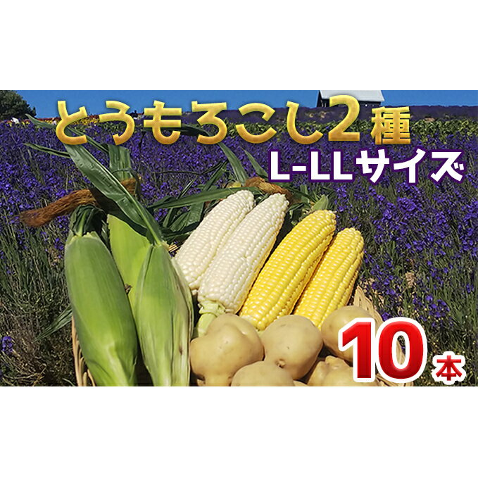 【ふるさと納税】【令和8年産】先行予約 かんのファーム 産 とうもろこし 食べ比べ 10本 セット( じゃがいも 付 ) 北海道 上富良野町 とうもろこし トウモロコシ セット じゃがいも ジャガイモ 先行受付　お届け：2026年8月上旬～9月下旬