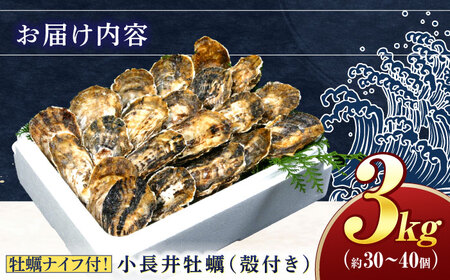小長井牡蠣3kg 先行予約 牡蠣 AHBJ005