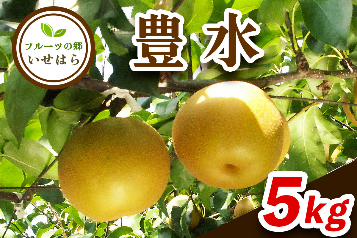 [2026年8月下旬以降発送 数量限定] 2026年産フルーツの郷いせはら 豊水 5kg｜先行予約 [1190]