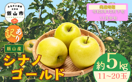 【先行予約丨2026年10月下旬より順次発送】訳あり シナノゴールド【約5kg(11〜20玉)】(At-024)丨長野県 飯山市 おすすめ ランキング おいしい 高評価 大人気 先取り 産地直送 りんご 訳あり 規格外