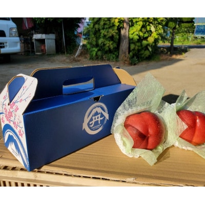 【脳を揺さぶる圧倒的糖度】マンゴーネクタリンやみつきリピーター続出中2025年8月下旬より発送【配送不可地域：離島・北海道・沖縄県・中国・四国・九州】