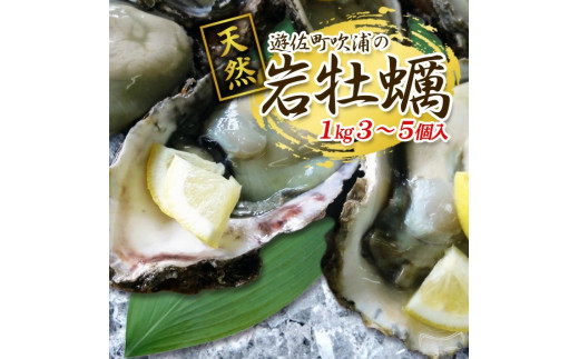 天然岩牡蠣 約1kg 3～5個入 殻付き 山形県遊佐町吹浦産 6月上旬～8月下旬頃お届け 冷蔵便 ※着日指定・離島（沖縄県を含む）発送不可 カキ かき 岩かき お取り寄せ 日本海 東北 庄内 鮮魚 新鮮