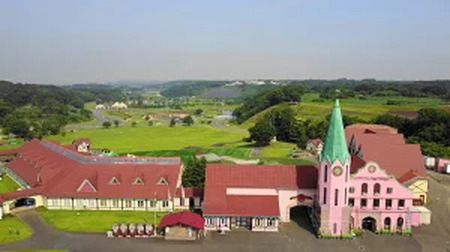東京ドイツ村 入場チケット 1枚 [0470]